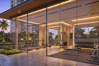 Gymnasium